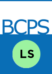 Pharmacotherapy Specialty Certification: Literature Study - Spring Module A-C